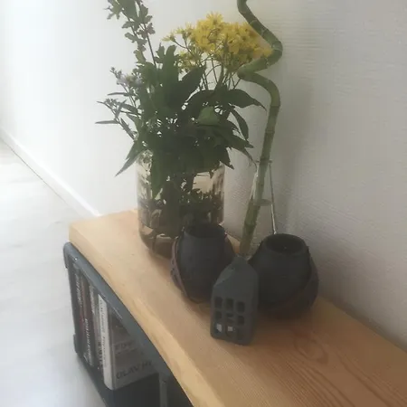 Skovlunds *